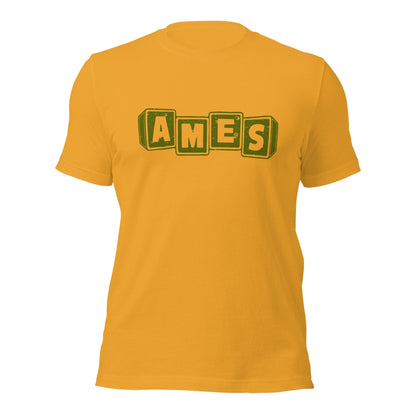 Ames Retro 1970s T Shirt | Vintage Mens & Womens Old School Tee