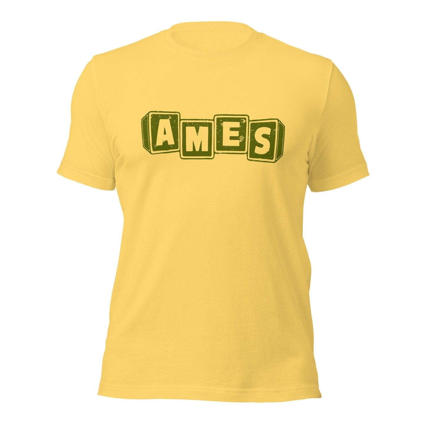 Ames Retro 1970s T Shirt | Vintage Mens & Womens Old School Tee