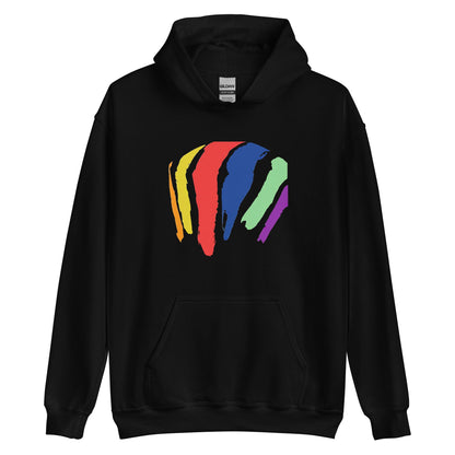 Rainbow Swash Hoodie - Dorchester, MA | Mens & Womens Graphic Sweatshirt