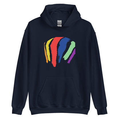 Rainbow Swash Hoodie - Dorchester, MA | Mens & Womens Graphic Sweatshirt