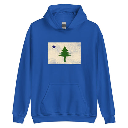 1901 Maine State Flag Hoodie - Dirigo | Vintage Mens & Womens Sweatshirt