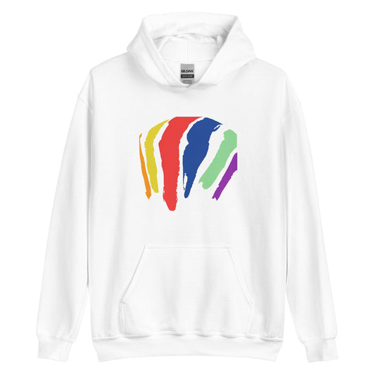 Rainbow Swash Hoodie - Dorchester, MA | Mens & Womens Graphic Sweatshirt